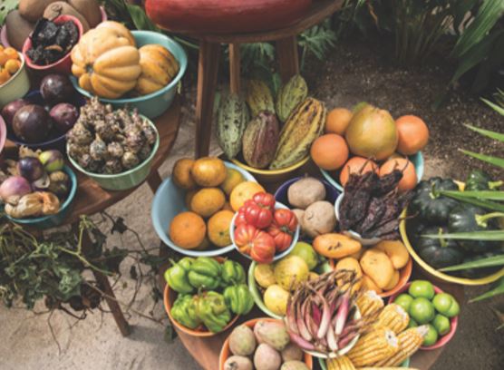 Alimentos autóctonos en Tulum 101