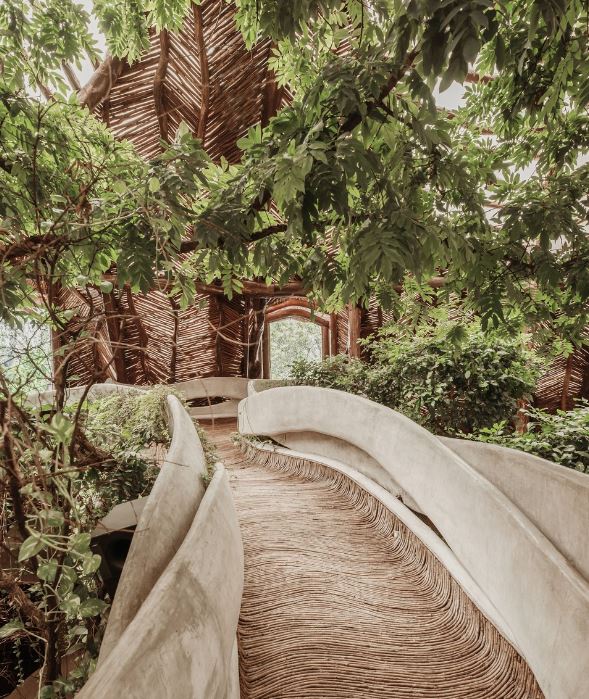 pasarela naturaleza museo azulik