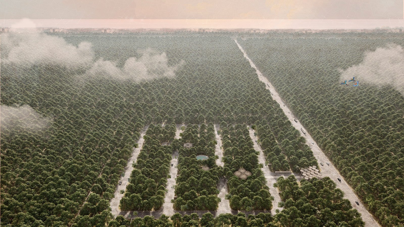 Exceptional Land for Sale close to the Beach Región 8