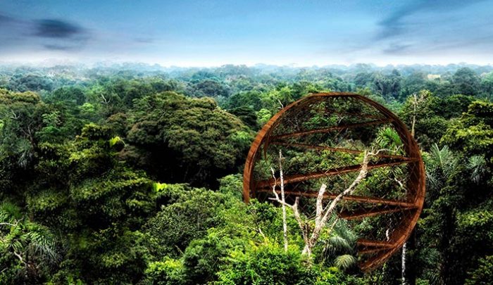 Son 375 lotes ecológicos en venta en Tulum