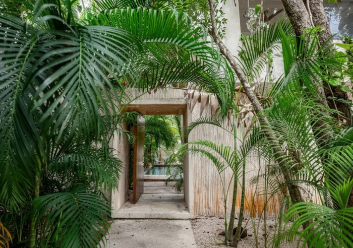 casa-areca-1